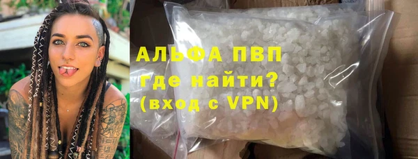 spice Богданович