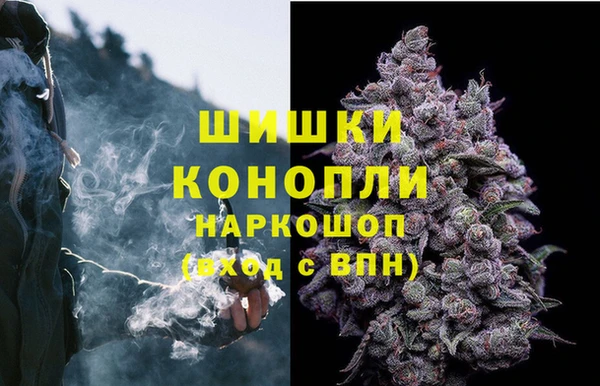 spice Богданович