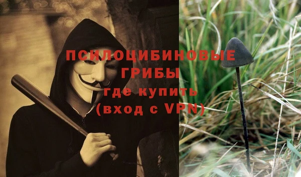 MDMA Богородицк