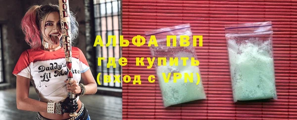 spice Богданович